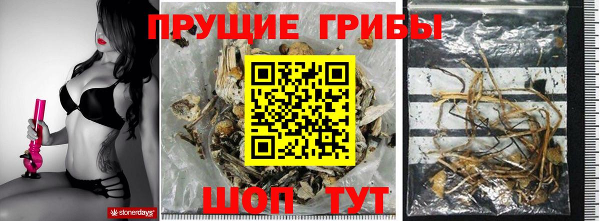 Псилоцибиновые грибы ЛСД  Вход с VPN  Псилоцибиновые грибы ЛСД  сколько стоит  Ульяновск 