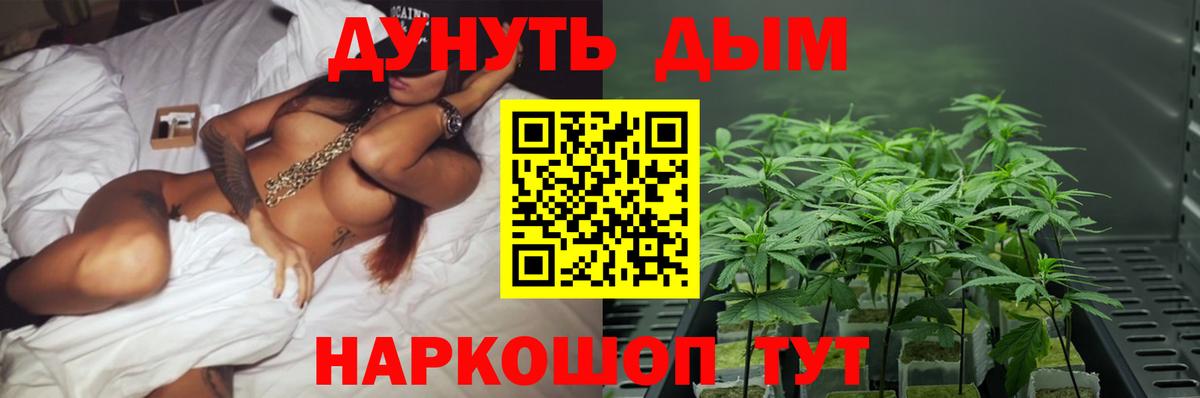 Ульяновск  Бошки марихуана гибрид  Вход с VPN  Канабис Bruce Banner  Бошки марихуана план 